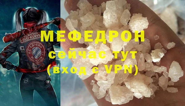 сатива Галич
