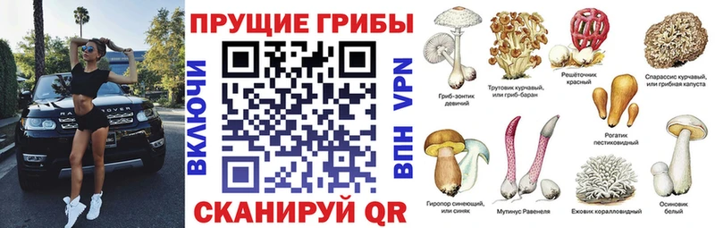 Псилоцибиновые грибы MAGIC MUSHROOMS shop состав Семикаракорск